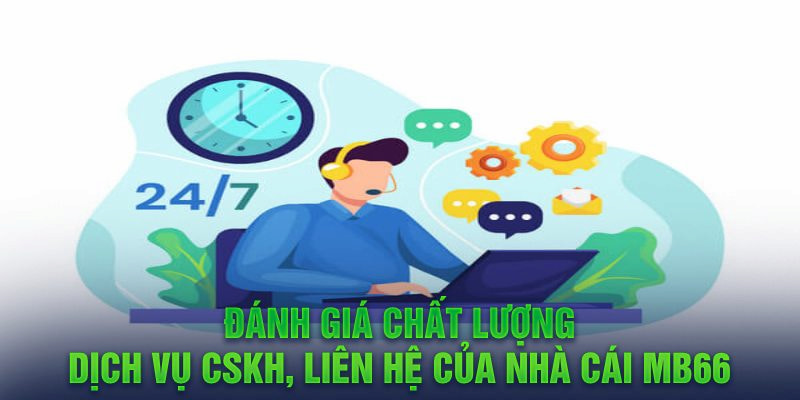 rr8822 đá gà hôm nay