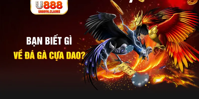 rr8822 SW Xổ Số