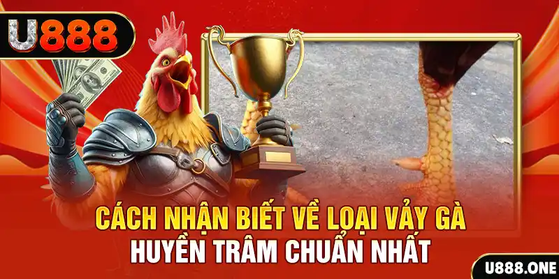 rr8822 đăng nhập nổ hũ số 1