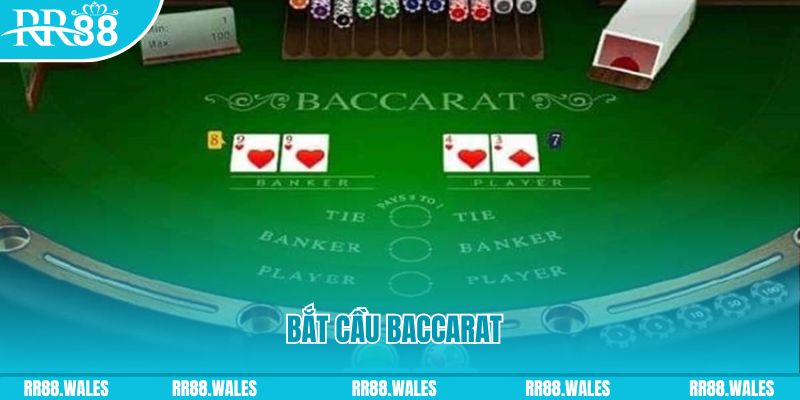 rr8822 what are the best online casino games
