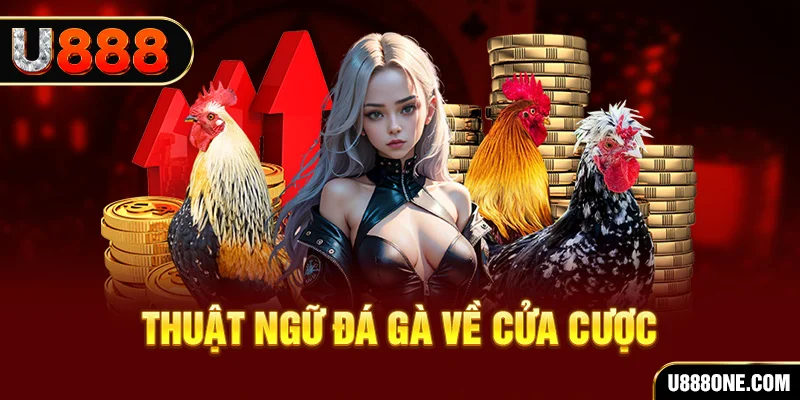 rr8822 hơn cả bạn bè