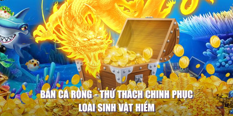rr8822 đăng nhập liêng tặng tiền