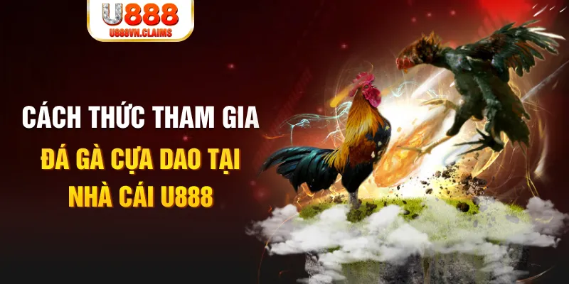 rr8822 Cỡ bảy