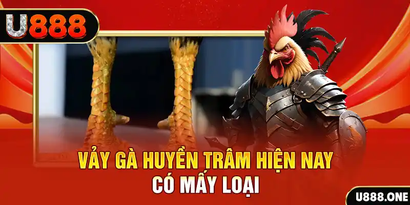 rr8822 casino online là gì