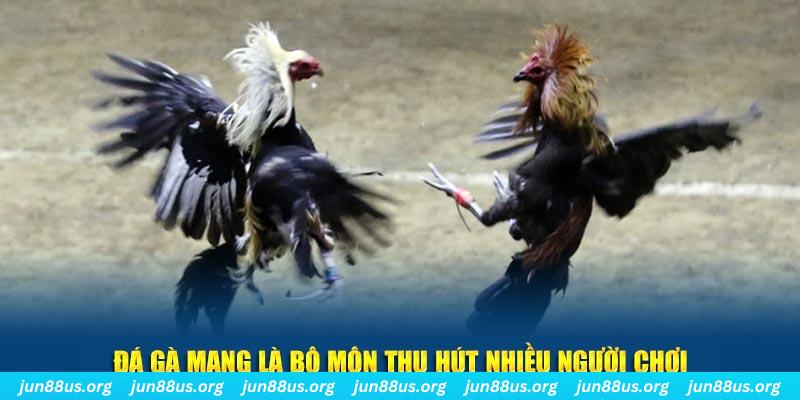 rr8822 nổ hủ nghĩa là gì