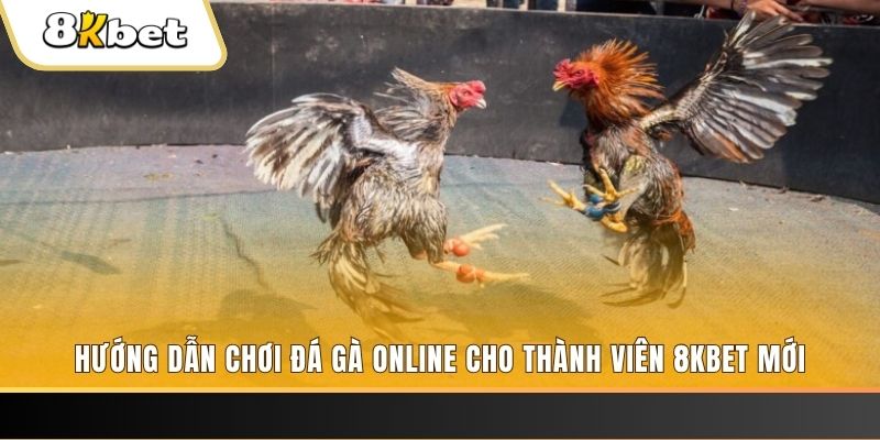 rr8822 JILI Game Bài 3d