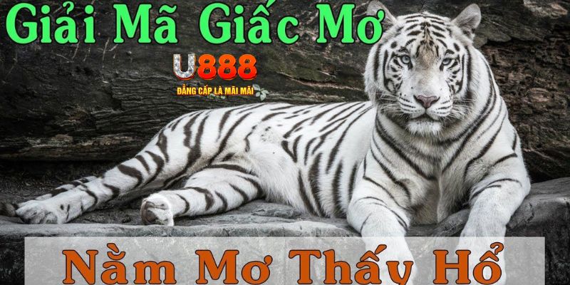 rr8822 xổ số miền bắc xổ số miền bắc