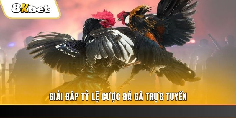 rr8822 ga choi cau thanh