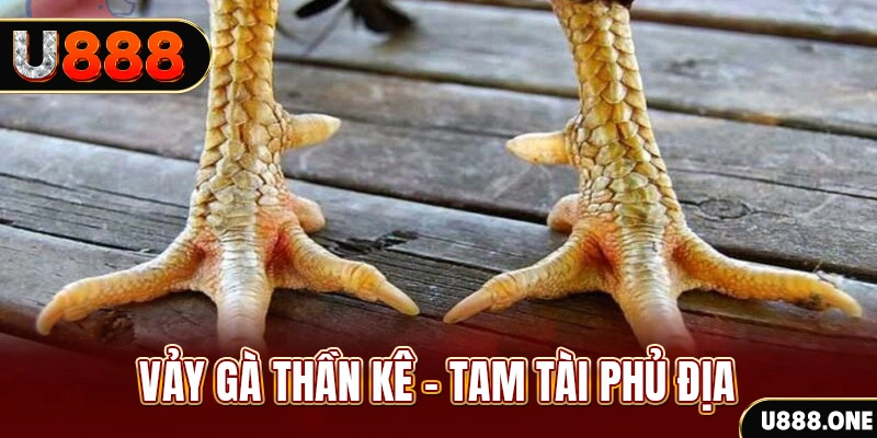 rr8822 xổ số miền trung thứ hai hàng tuần