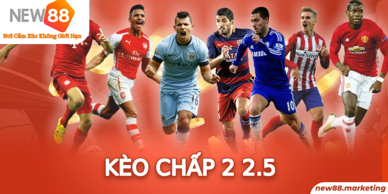 rr8822 baccarat có bịp không