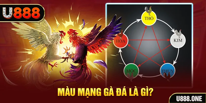 rr8822 xổ số miền trung thứ tư hàng tuần