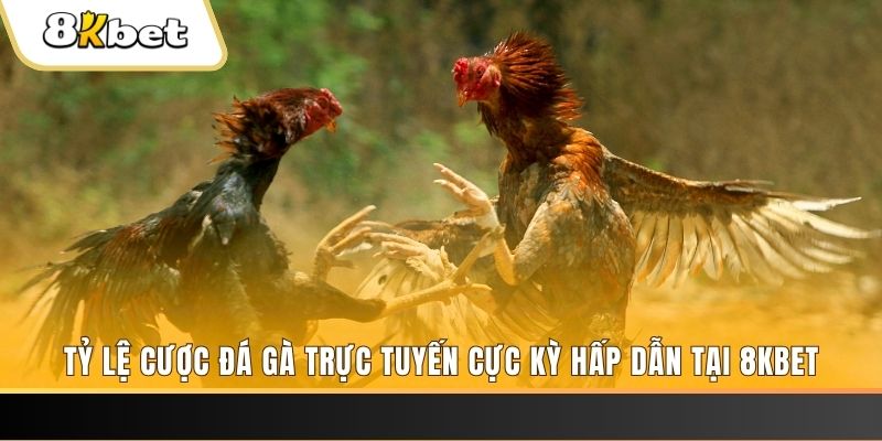 đăng nhập nổ hũ trực tuyến