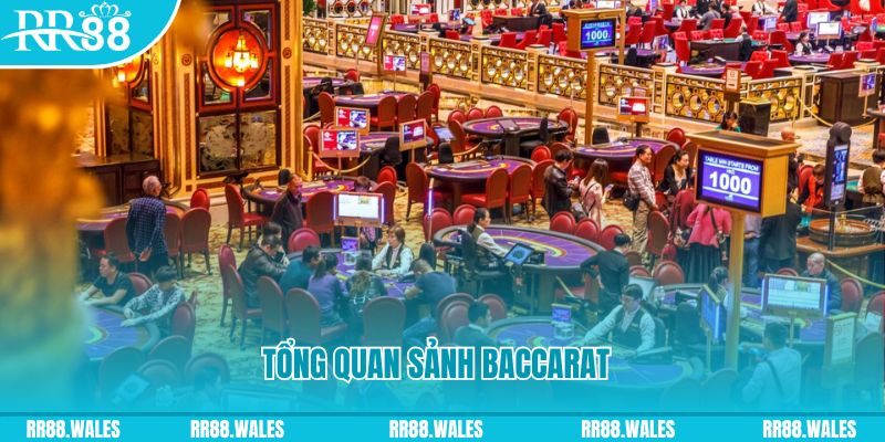 rr8822 đăng nhập roulette