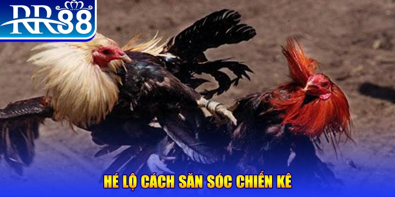 rr8822 xổ số miền trung thứ tư
