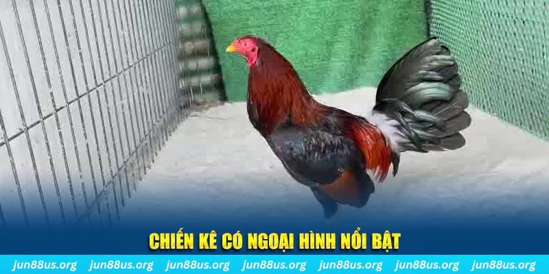 rr8822 game bắn cá