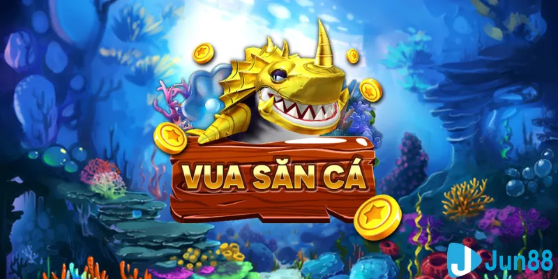 rr8822 what is the best online casino